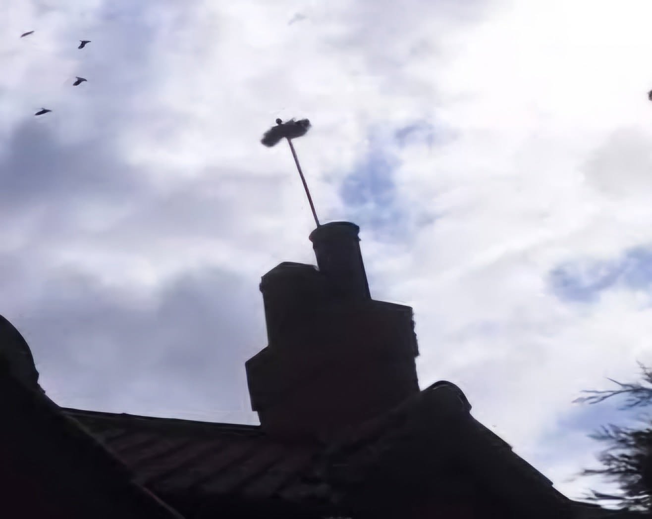 A chimney stack against the sky with a sweeping brush poking out of the pot