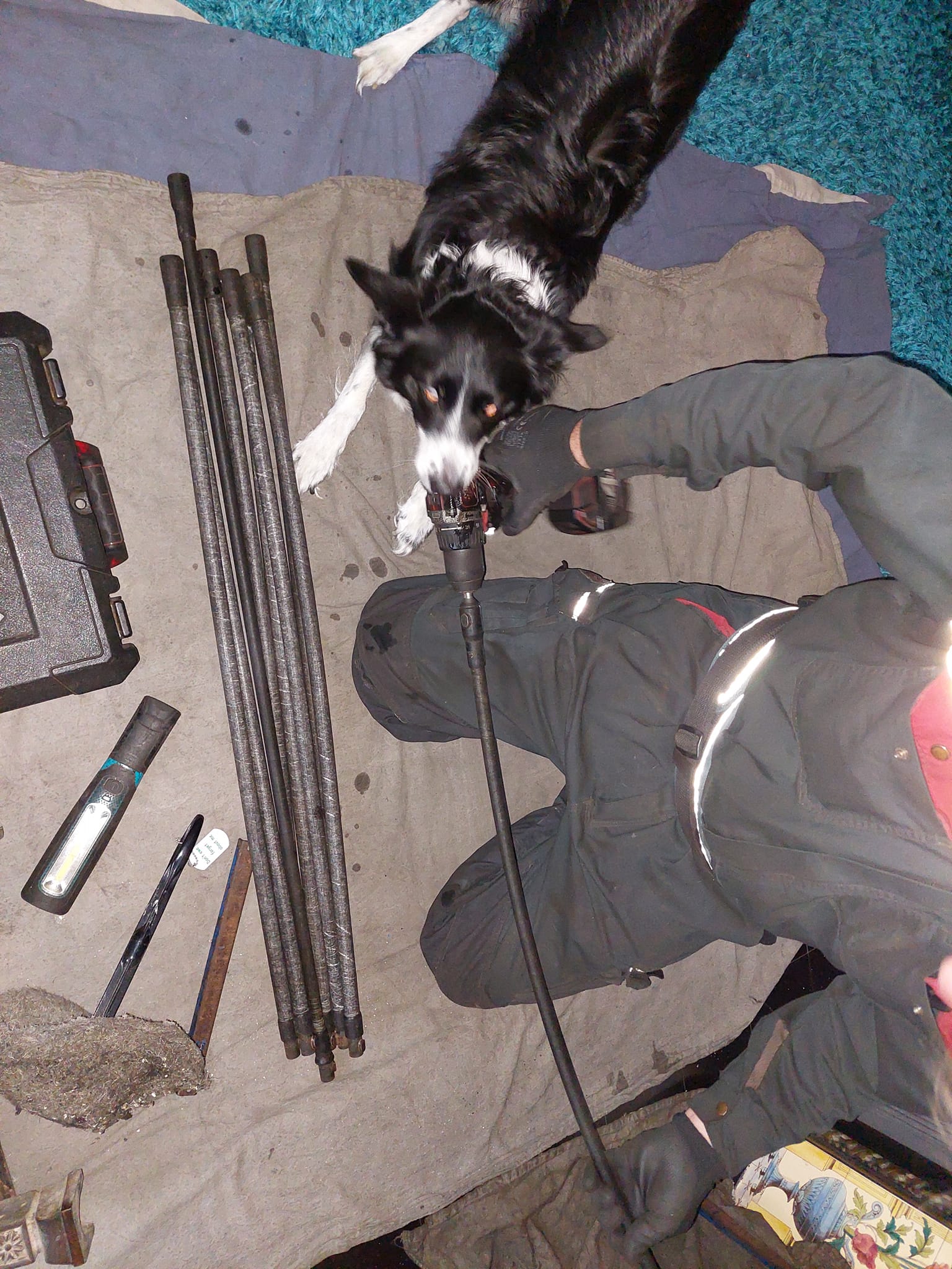 A sweep kneeling on a dust sheet with rods and brush kit, a black and white collie beside him