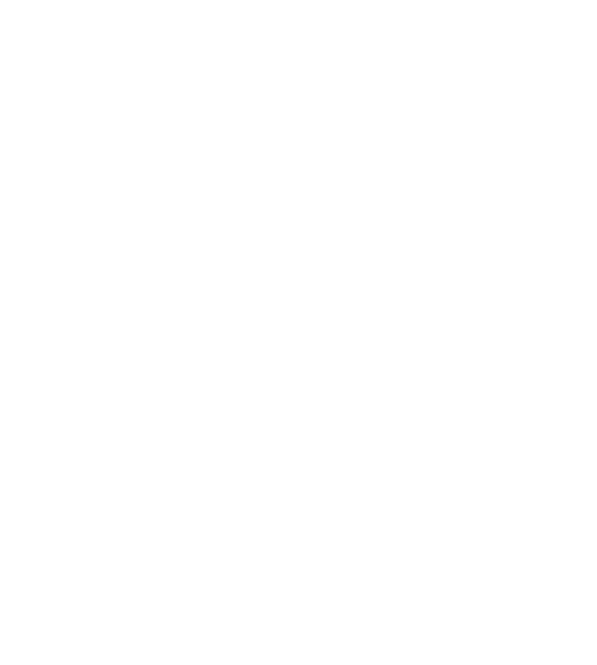 Holderness Chimney Sweeps